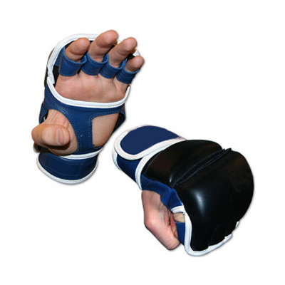 Punching Mitts