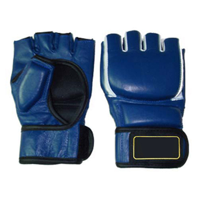 Punching Mitts