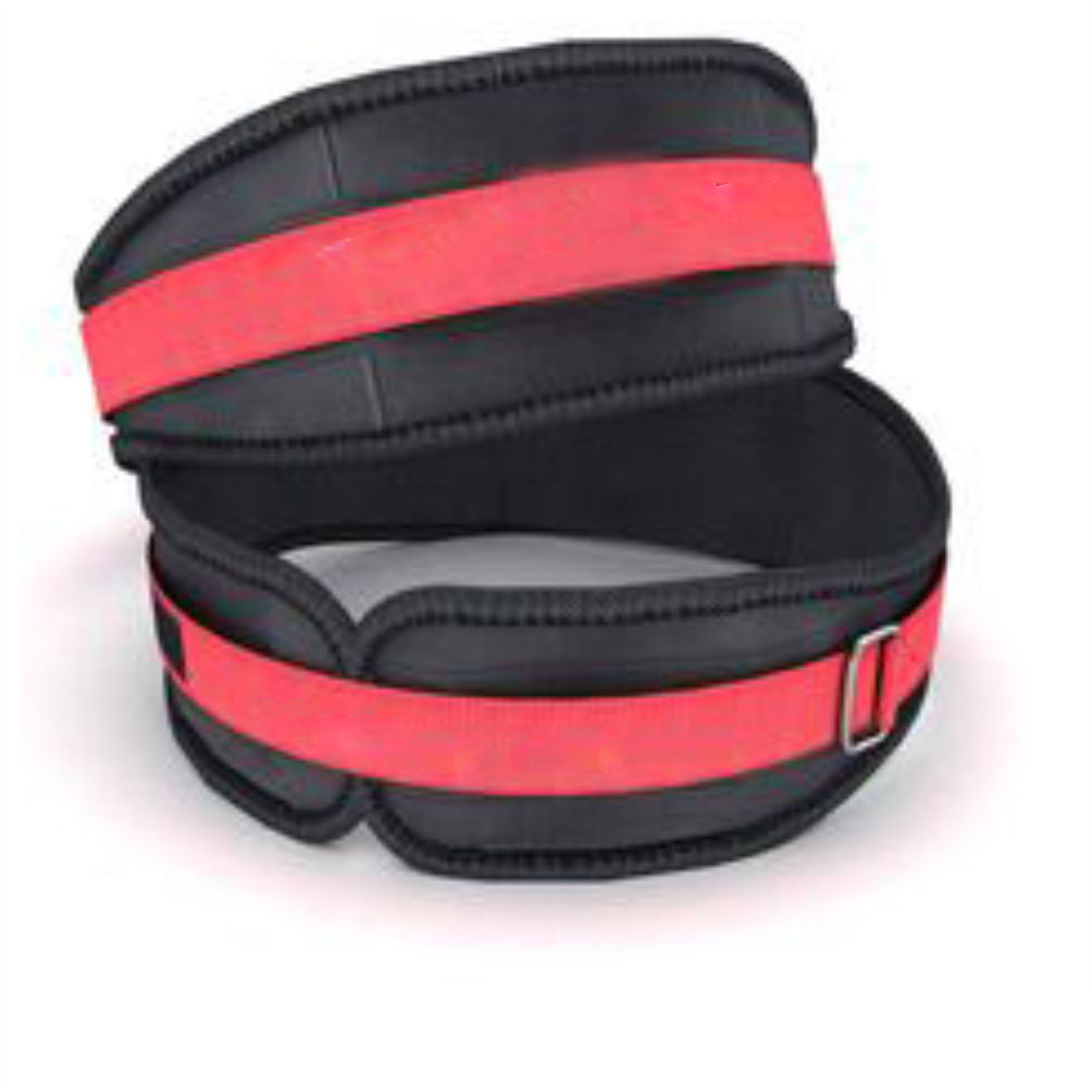 Weight Lifting Belt