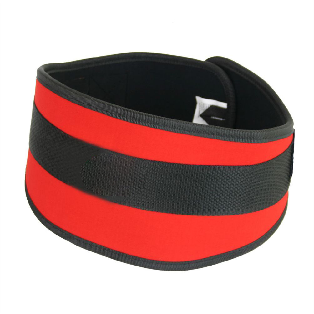 Weight Lifting Belt