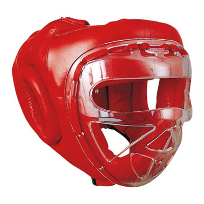 Head Guard